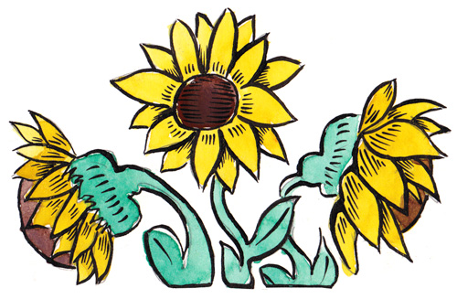 sunflowers