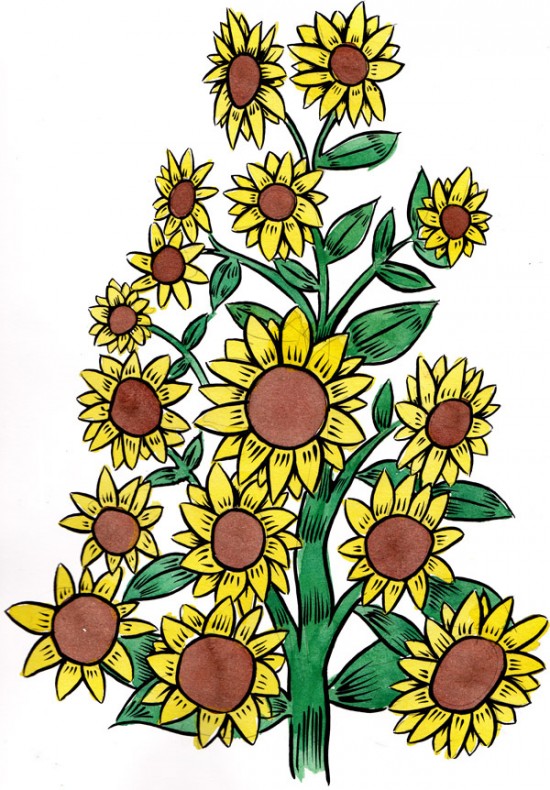 sunflowers